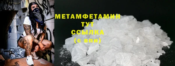 шишки Дмитриев