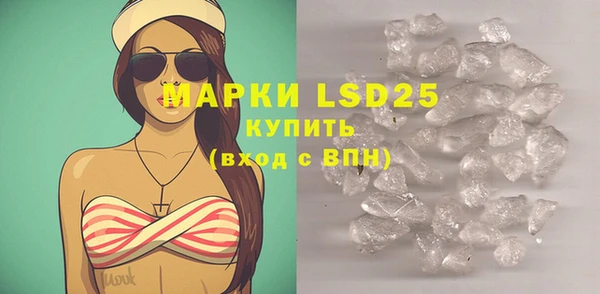 шишки Дмитриев