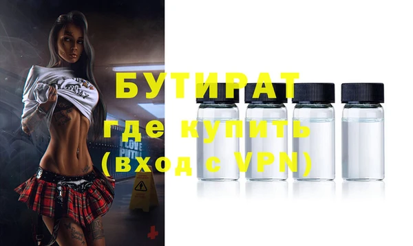 шишки Дмитриев