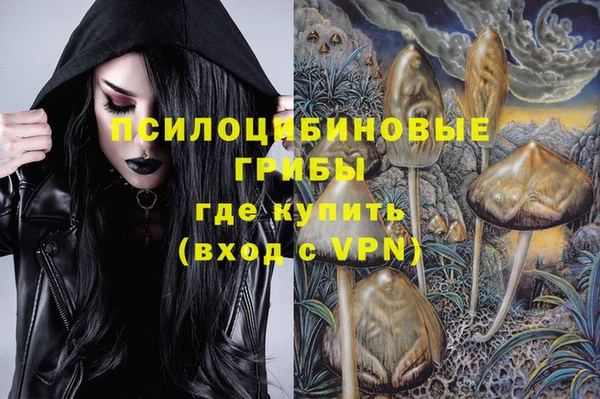 шишки Дмитриев