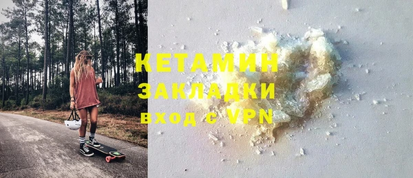 шишки Дмитриев
