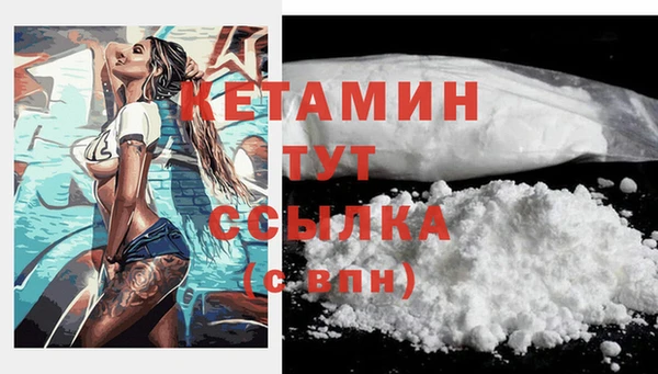 шишки Дмитриев