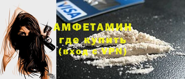 шишки Дмитриев