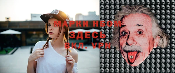 шишки Дмитриев