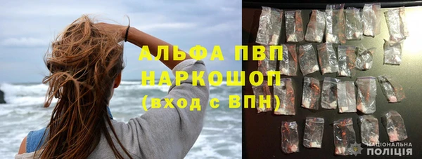 шишки Дмитриев