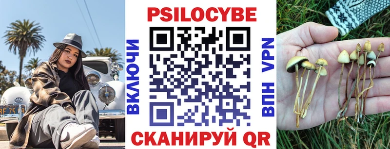 Купить закладки  Перевоз  Галлюциногенные грибы мухоморы 